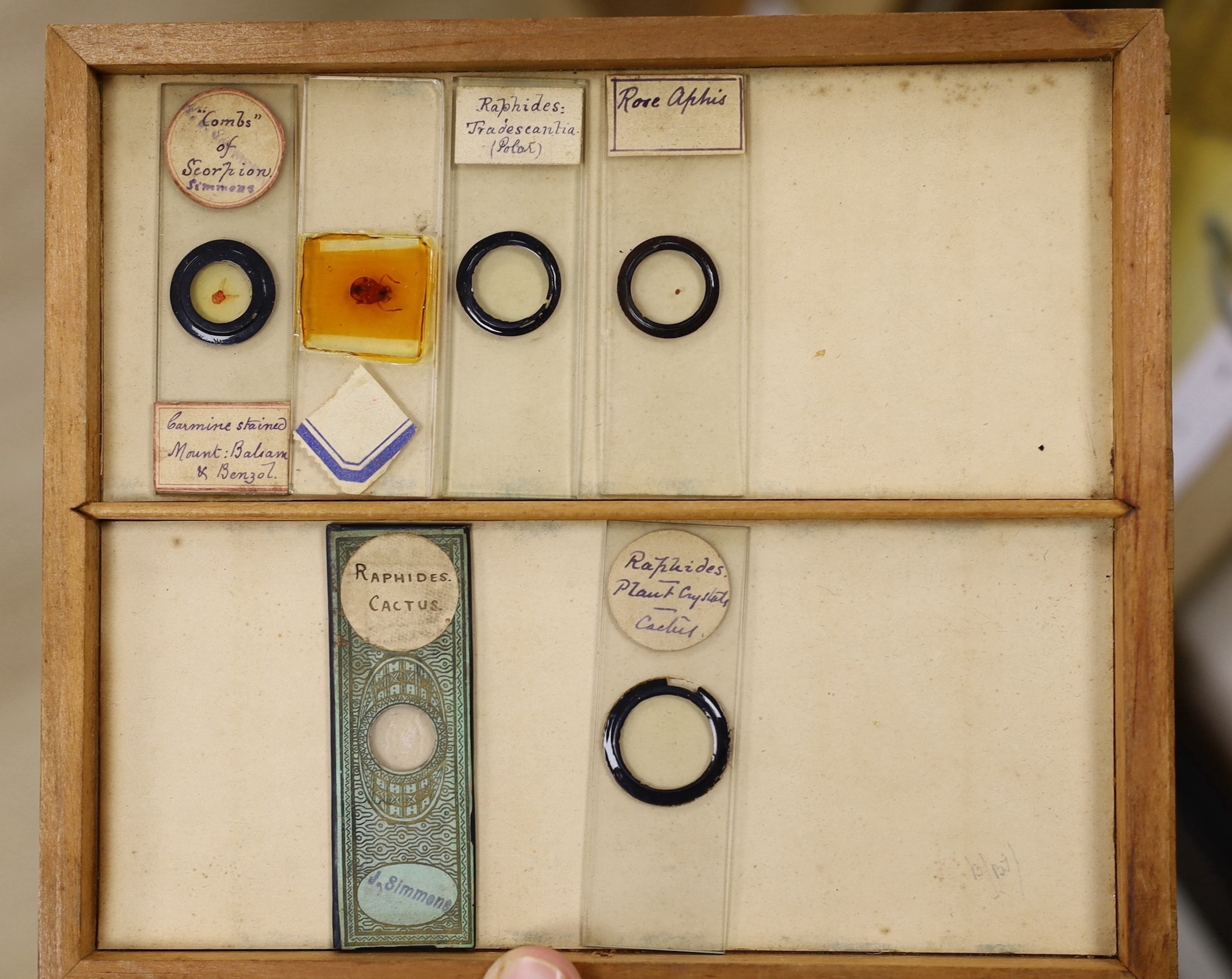 A collection of approximately 200 Victorian and later microscope slides in late 19th century cabinet. Ivory submission reference: UKC532GL